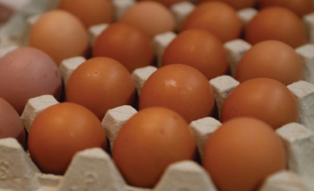 Eggs Production